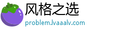 风格之选